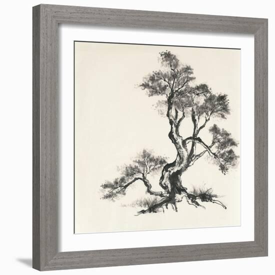 Sumi Tree I-Chris Paschke-Framed Art Print