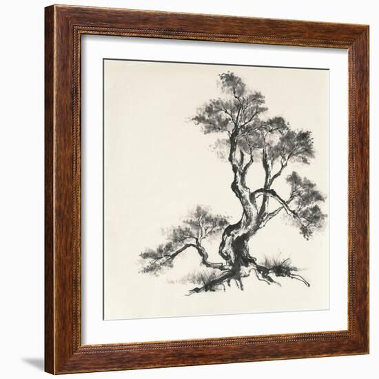 Sumi Tree I-Chris Paschke-Framed Art Print