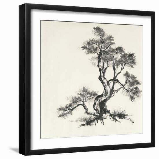 Sumi Tree I-Chris Paschke-Framed Art Print