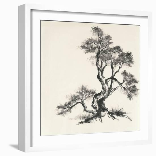 Sumi Tree I-Chris Paschke-Framed Art Print