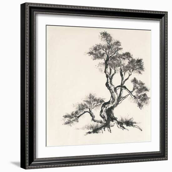 Sumi Tree I-Chris Paschke-Framed Art Print