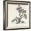 Sumi Tree I-Chris Paschke-Framed Art Print