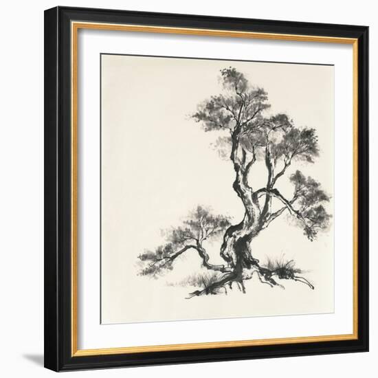 Sumi Tree I-Chris Paschke-Framed Art Print