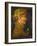 Summer, 1573-Giuseppe Arcimboldo-Framed Giclee Print