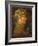 Summer, 1573-Giuseppe Arcimboldo-Framed Giclee Print