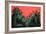 Summer, 1981-Tamas Galambos-Framed Giclee Print