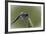 Summer 2012 #236-Gordon Semmens-Framed Photographic Print