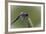 Summer 2012 #236-Gordon Semmens-Framed Photographic Print