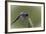 Summer 2012 #236-Gordon Semmens-Framed Photographic Print