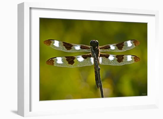 Summer 2012 #35-Gordon Semmens-Framed Photographic Print