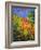 Summer 2014-Pol Ledent-Framed Art Print