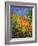 Summer 2014-Pol Ledent-Framed Art Print