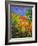 Summer 2014-Pol Ledent-Framed Art Print