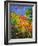 Summer 2014-Pol Ledent-Framed Art Print