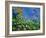 Summer 564121-Pol Ledent-Framed Art Print