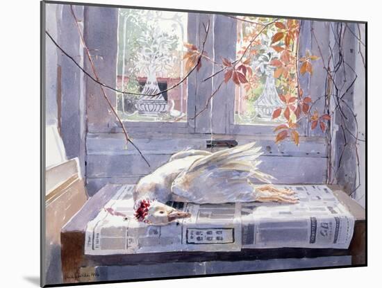 Summer (A Gander's Lament) 1994 (W/C)-Lucy Willis-Mounted Giclee Print