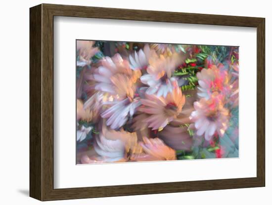 Summer abstract-Heidi Westum-Framed Photographic Print