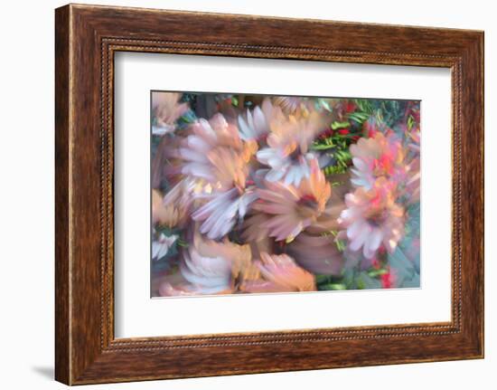 Summer abstract-Heidi Westum-Framed Photographic Print