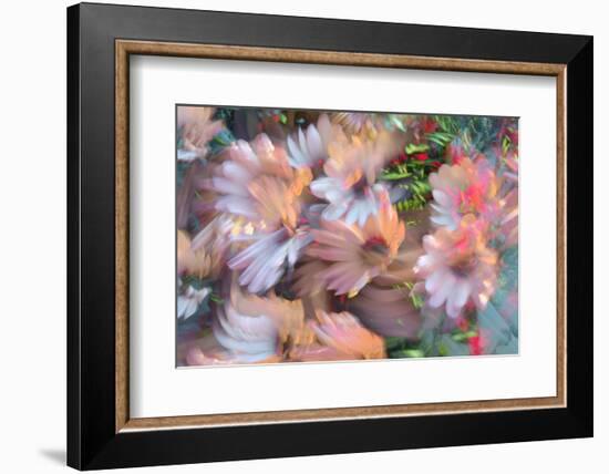 Summer abstract-Heidi Westum-Framed Photographic Print