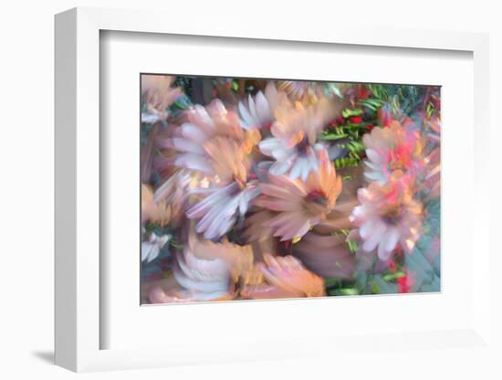 Summer abstract-Heidi Westum-Framed Photographic Print