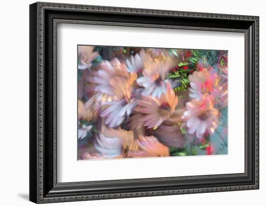 Summer abstract-Heidi Westum-Framed Photographic Print