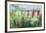 Summer Acres-Ann Oram-Framed Giclee Print