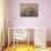 Summer Arrangement-Ralph Steiner-Mounted Art Print displayed on a wall