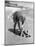 Summer at Cape Cod: Bottles of Coca Cola Buried in the Surf to Keep Them Cool-Alfred Eisenstaedt-Mounted Photographic Print