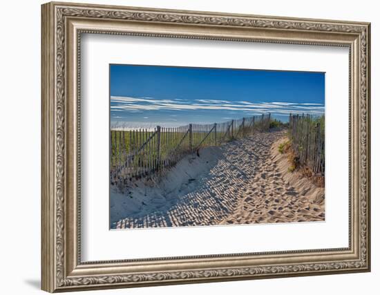 Summer at Cape Cod-Rolf_52-Framed Photographic Print