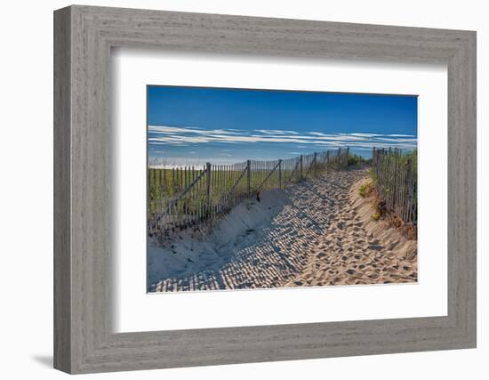 Summer at Cape Cod-Rolf_52-Framed Photographic Print