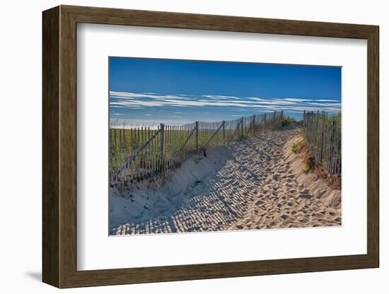 Summer at Cape Cod-Rolf_52-Framed Photographic Print