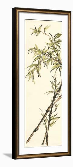 Summer Bamboo I-Chris Paschke-Framed Art Print