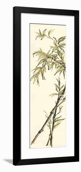 Summer Bamboo I-Chris Paschke-Framed Art Print