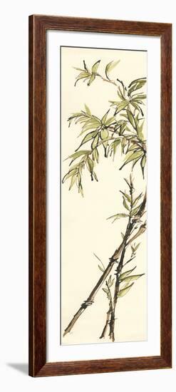 Summer Bamboo I-Chris Paschke-Framed Art Print