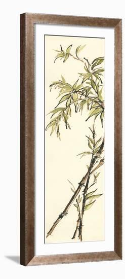 Summer Bamboo I-Chris Paschke-Framed Art Print