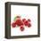 Summer Berries-David Munns-Framed Premier Image Canvas