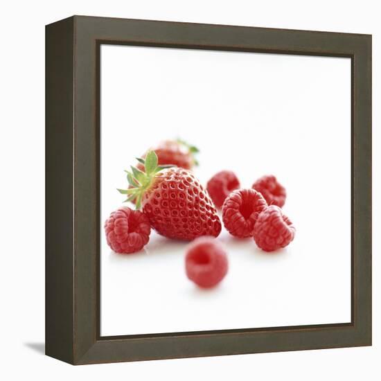 Summer Berries-David Munns-Framed Premier Image Canvas