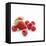 Summer Berries-David Munns-Framed Premier Image Canvas