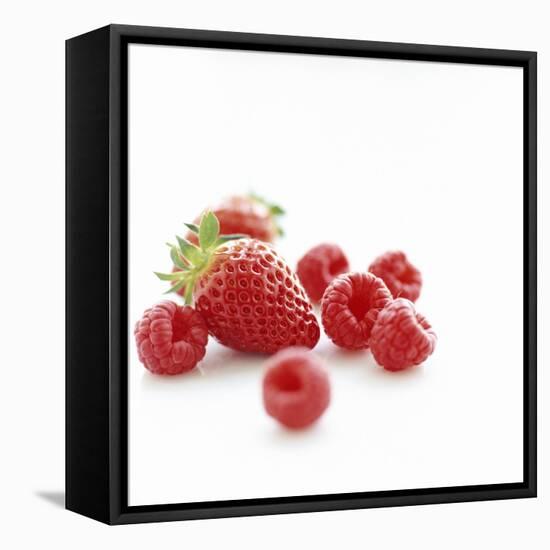 Summer Berries-David Munns-Framed Premier Image Canvas
