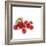 Summer Berries-David Munns-Framed Premium Photographic Print