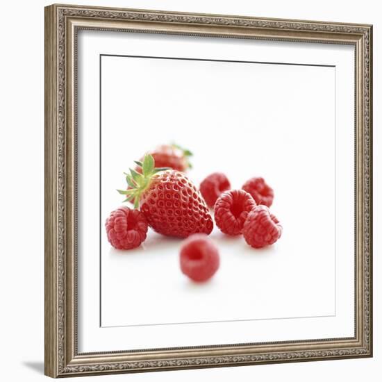 Summer Berries-David Munns-Framed Premium Photographic Print