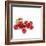 Summer Berries-David Munns-Framed Premium Photographic Print