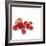 Summer Berries-David Munns-Framed Premium Photographic Print