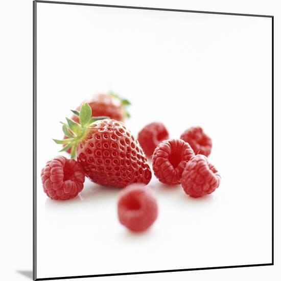 Summer Berries-David Munns-Mounted Premium Photographic Print