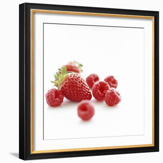 Summer Berries-David Munns-Framed Premium Photographic Print