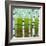 Summer Birches-Michelle Calkins-Framed Art Print