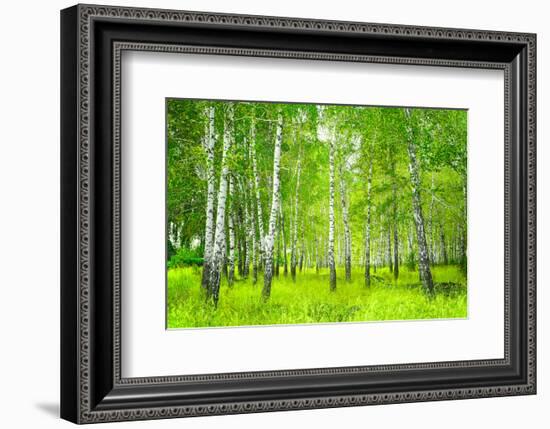 Summer Birchwood Forest-null-Framed Art Print