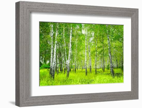 Summer Birchwood Forest-null-Framed Art Print