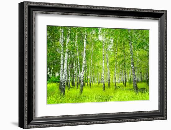 Summer Birchwood Forest-null-Framed Art Print