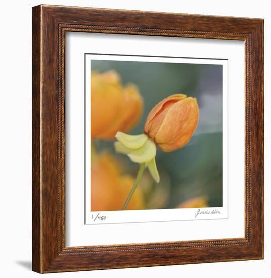 Summer Bloom 2-Florence Delva-Framed Limited Edition